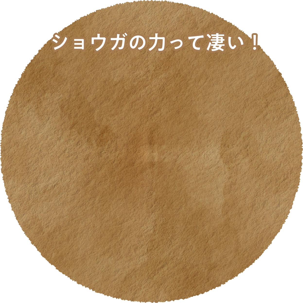 ショウガの力ってすごい！