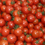 ミニトマト